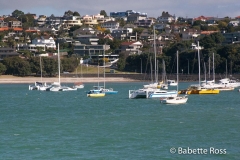 Okahu Bay