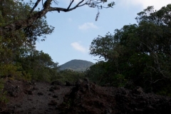 Rangitoto
