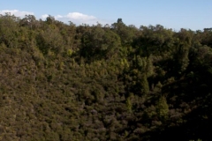 Rangitoto