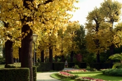Vienna 1996-10-03