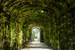 Schonbrunn, Vienna 1996-10-04
