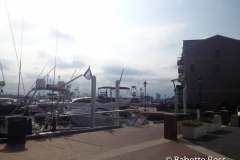 Marina at Bo Brooks