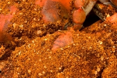Crabs