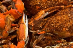 Crabs