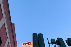 Natty Boh