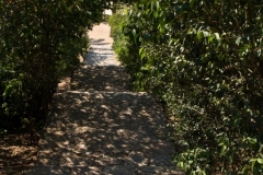 Park Guell