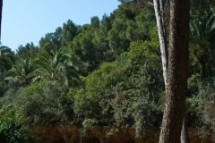 Park Guell