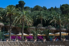 Park Guell