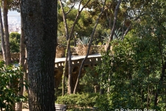 Park Guell