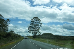 Driving to Bay of Islands