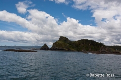 Bay of Islands