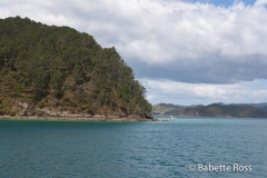 Bay of Islands