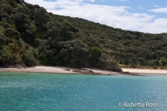 Bay of Islands