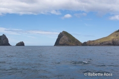 Bay of Islands