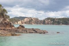 Bay of Islands