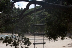 Urupukapuka Island