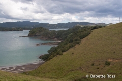 Urupukapuka Island