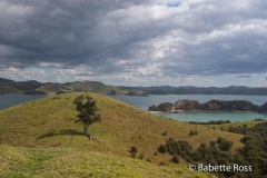 Urupukapuka Island