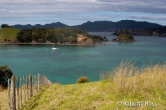 Urupukapuka Island
