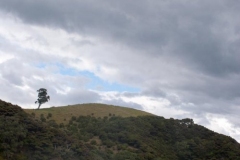 Bay of Islands