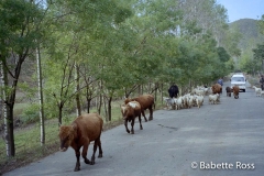 Great Wall of China, Jinshanling 1999-10-01