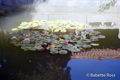 Forbidden City 1999-10-02