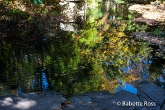 Flat Rock Brook