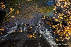 Flat Rock Brook
