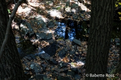 Flat Rock Brook