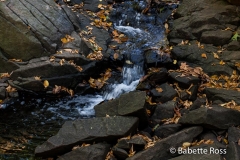 Flat Rock Brook