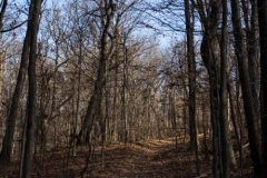 Flat Rock Brook