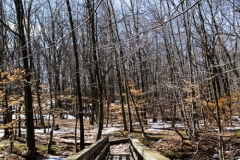 Flat Rock Brook