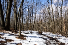 Flat Rock Brook