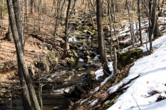 Flat Rock Brook