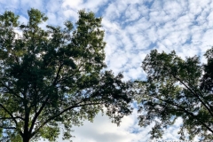 20190901_001