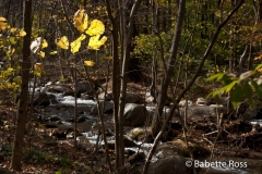 Cascades Falls Park