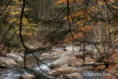 Cascades Falls Park