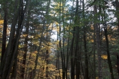Cascades Falls Park