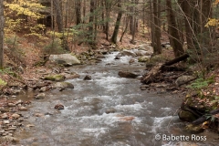 Cascades Falls Park