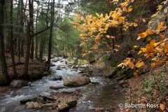 Cascades Falls Park