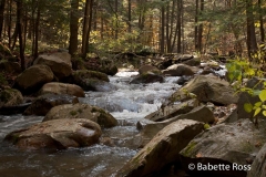 Cascades Falls Park