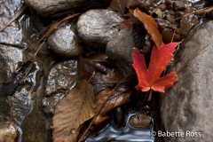 Cascades Falls Park