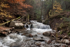 Cascades Falls Park