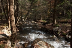Cascades Falls Park