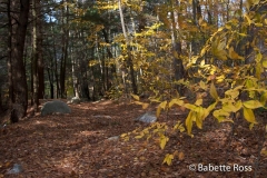 Cascades Falls Park