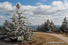 Mt. Greylock