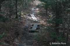 Mt. Greylock