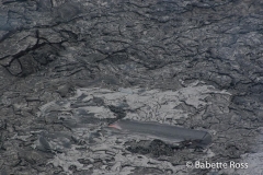 Volcanos National Park Helicopter Tour