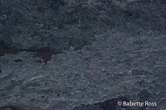 Volcanos National Park Helicopter Tour