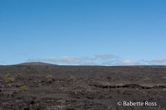 Volcanos National Park Chain of Craters Drive
